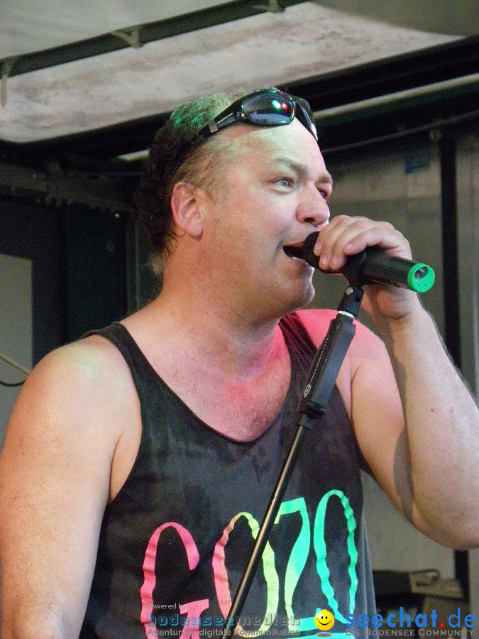 Schussental-Woodstock 2010: Bad-Schussenried, 09.07.2010
