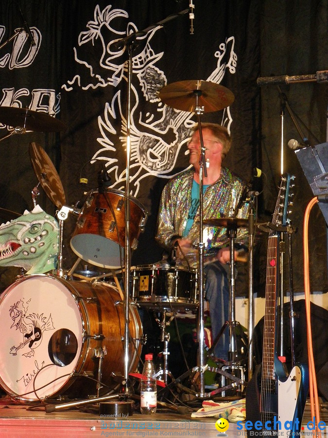 Schussental-Woodstock 2010: Bad-Schussenried, 09.07.2010