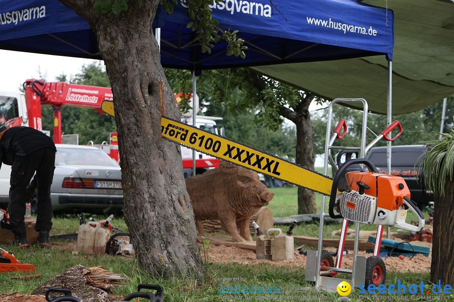 Kettenschnitzerfest: Danketsweiler bei Ravensburg, 25.07.2010