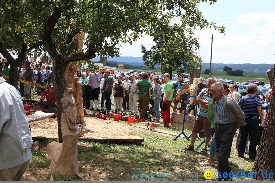 Kettenschnitzerfest: Danketsweiler bei Ravensburg, 25.07.2010