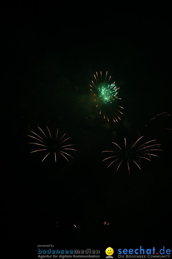 Schlossseefest 2010 mit Feuerwerk: Salem, 31.07.2010