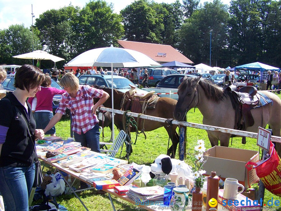 Flohmarkt 2010: Oggelshausen, 07.08.2010
