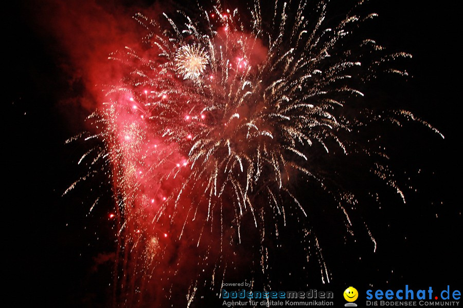 Feuerwerk-2010-Rheinfall-Schaffhausen-21082010-Bodensee-Community-seechat_de-IMG_8806.JPG