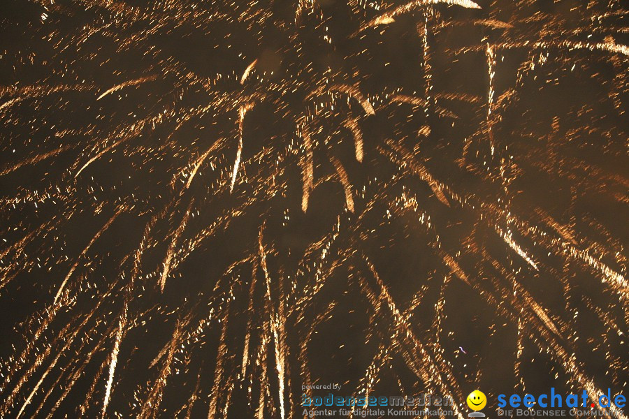 Feuerwerk-2010-Rheinfall-Schaffhausen-21082010-Bodensee-Community-seechat_de-IMG_8891.JPG