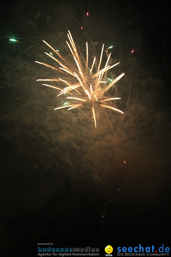 Feuerwerk-2010-Rheinfall-Schaffhausen-21082010-Bodensee-Community-seechat_de-IMG_8911.JPG