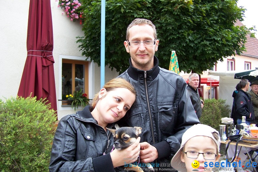 Herbstfest: Bad Buchau, 28.08.2010