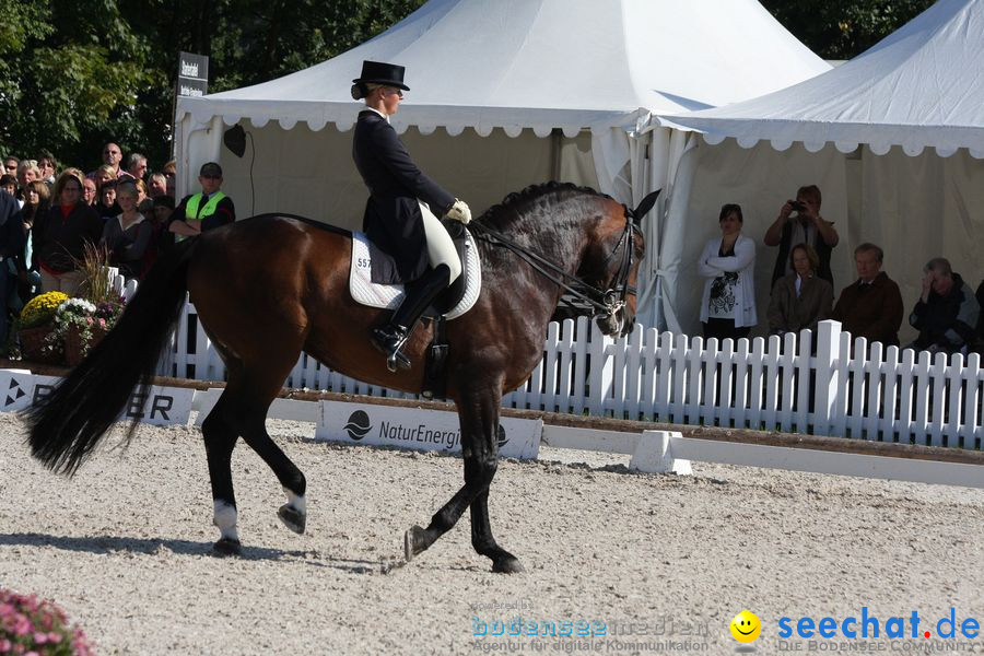 CHI-Donaueschingen Reitturnier 2010: Donaueschingen, 19.09.2010