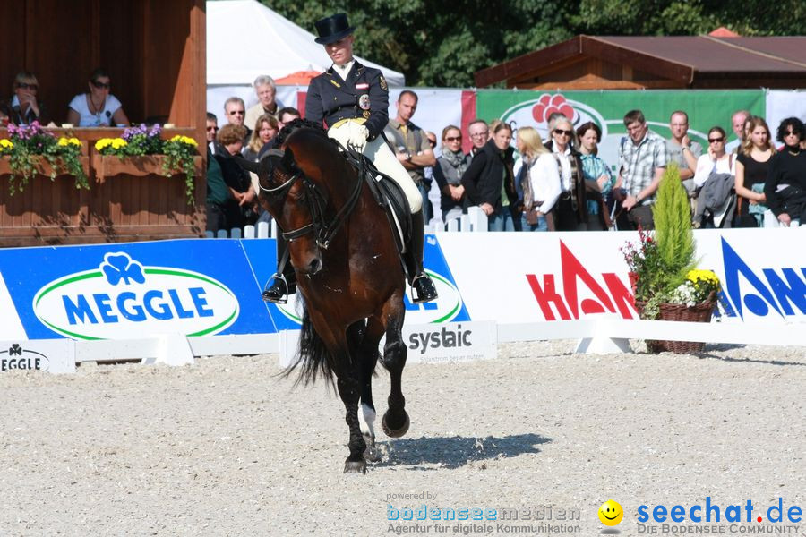 CHI-Donaueschingen Reitturnier 2010: Donaueschingen, 19.09.2010