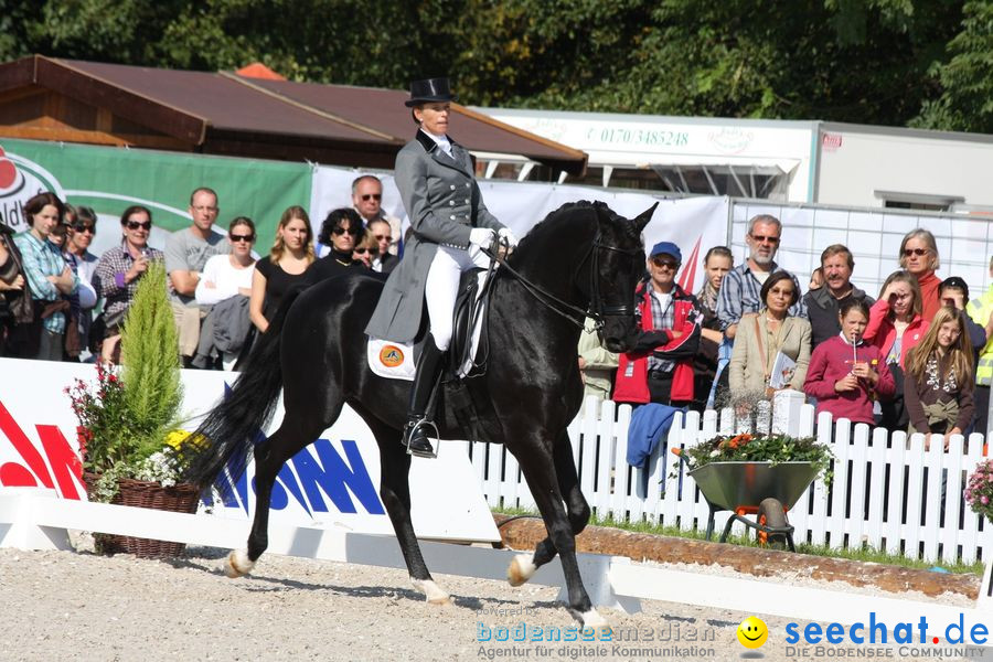 CHI-Donaueschingen Reitturnier 2010: Donaueschingen, 19.09.2010