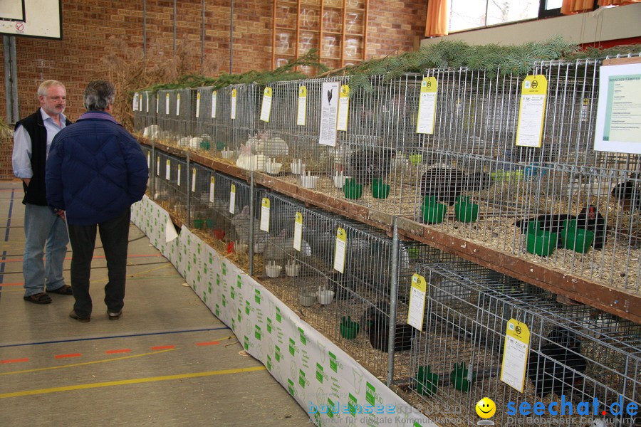 Vogelschau: Ailingen bei Friedrichshafen, 07.11.2010
