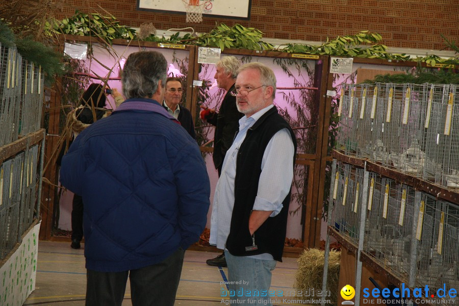 Vogelschau: Ailingen bei Friedrichshafen, 07.11.2010