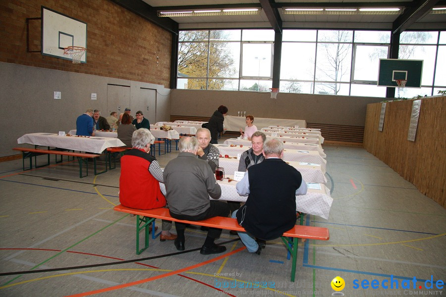 Vogelschau: Ailingen bei Friedrichshafen, 07.11.2010