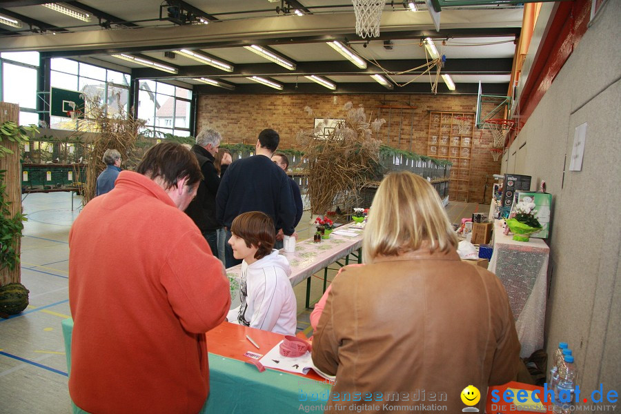Vogelschau: Ailingen bei Friedrichshafen, 07.11.2010