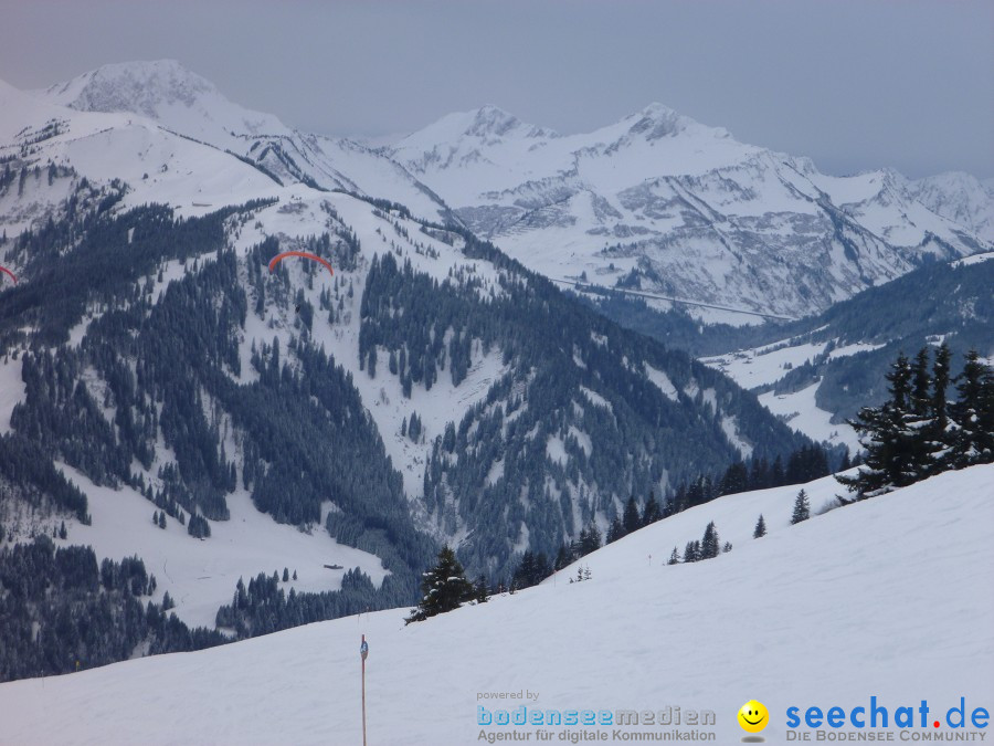 DIEDAMSKOPF - SKITAG: Au-Schoppernau-Oesterreich, 28.12.2010