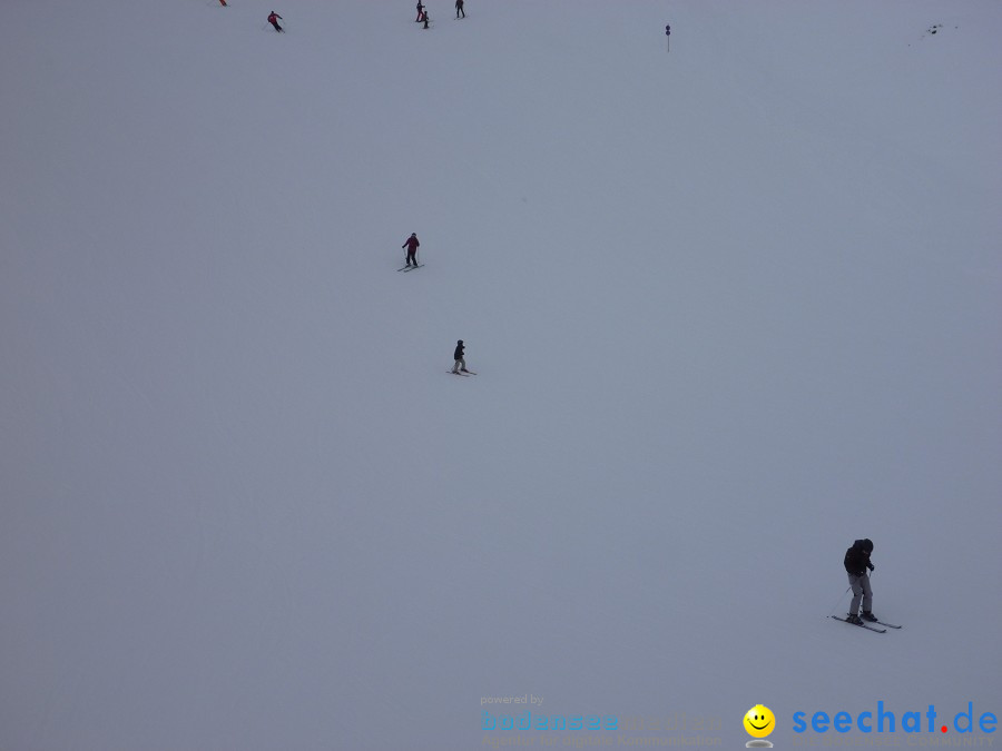 DIEDAMSKOPF - SKITAG: Au-Schoppernau-Oesterreich, 28.12.2010
