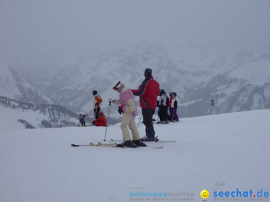 DIEDAMSKOPF - SKITAG: Au-Schoppernau-Oesterreich, 28.12.2010