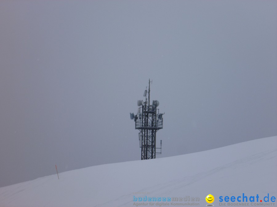 DIEDAMSKOPF - SKITAG: Au-Schoppernau-Oesterreich, 28.12.2010