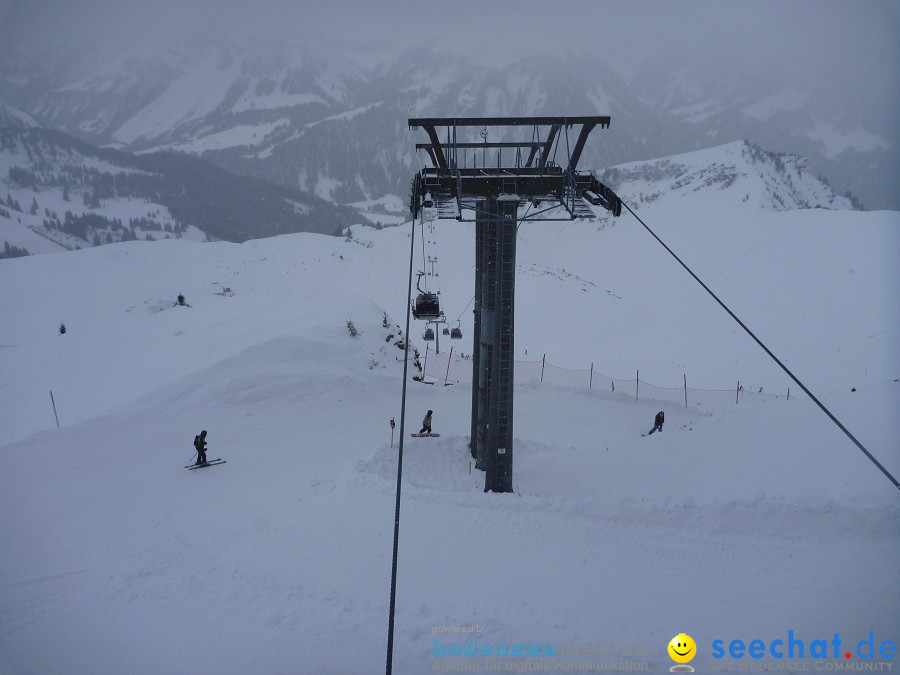 DIEDAMSKOPF - SKITAG: Au-Schoppernau-Oesterreich, 28.12.2010