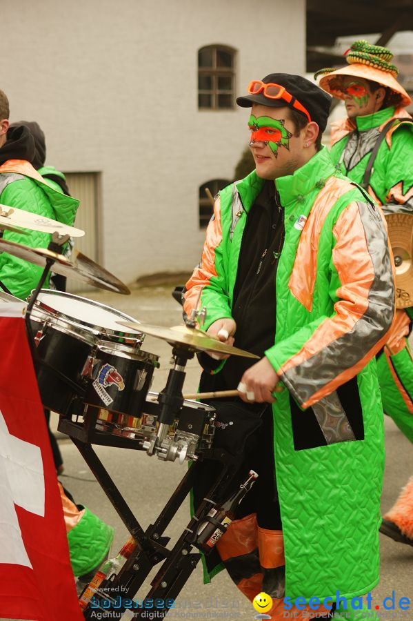 Narrenbaumstellen: Orsingen am Bodensee, 29.01.2011