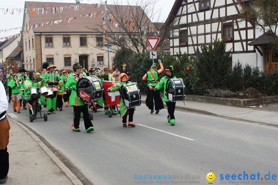 Narrenbaumstellen: Orsingen am Bodensee, 29.01.2011