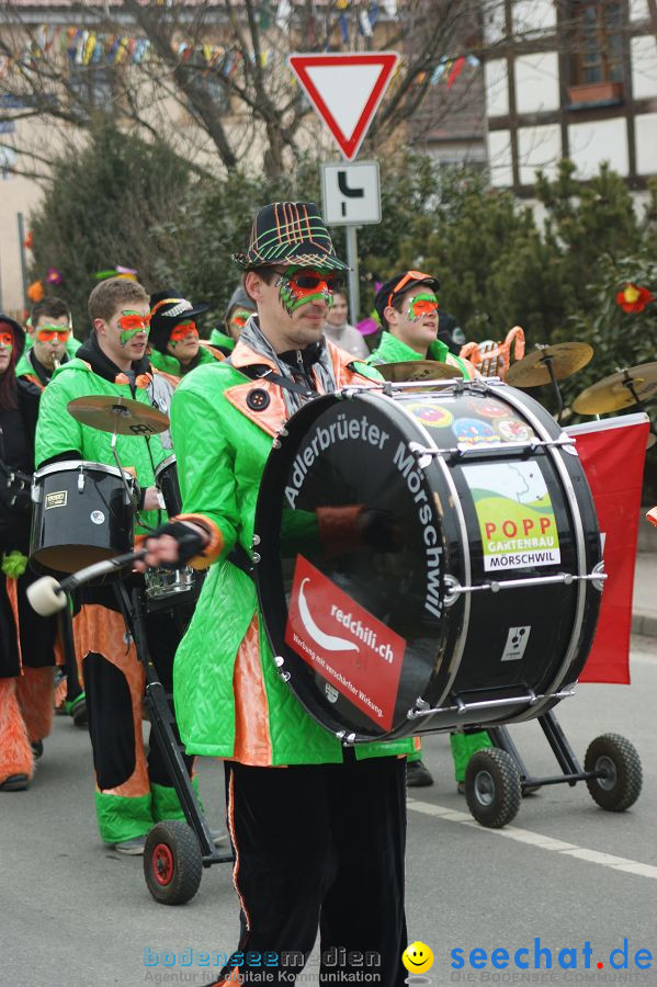 Narrenbaumstellen: Orsingen am Bodensee, 29.01.2011