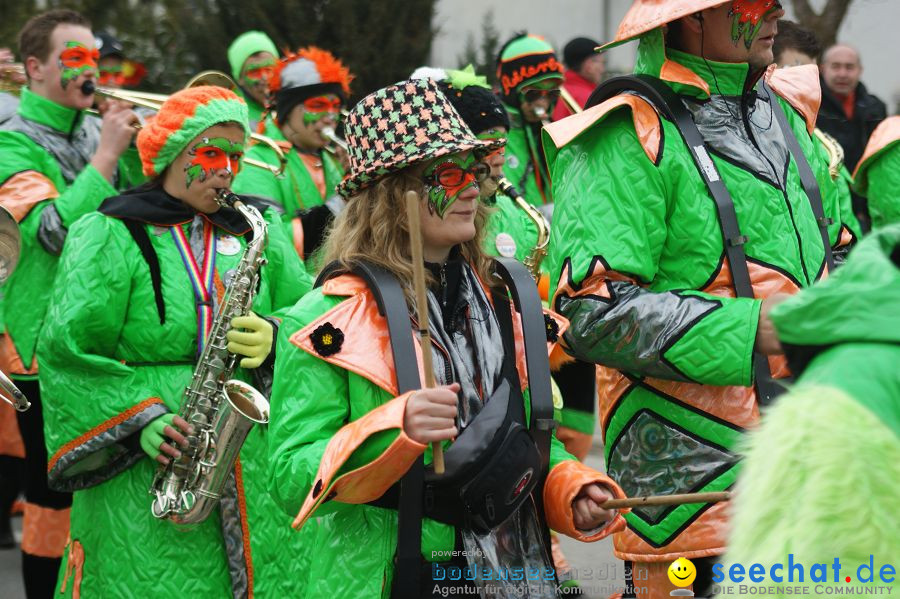 Narrenbaumstellen: Orsingen am Bodensee, 29.01.2011