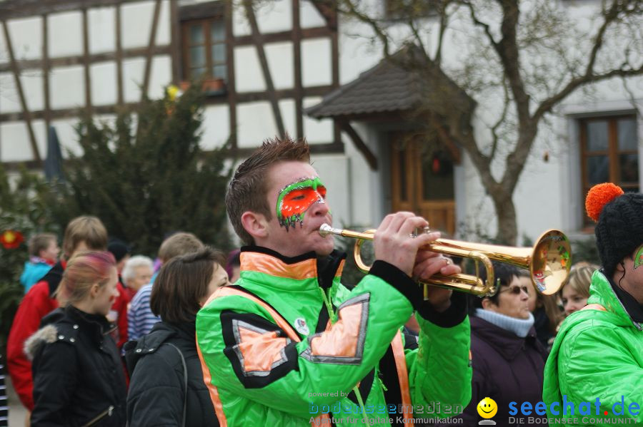 Narrenbaumstellen: Orsingen am Bodensee, 29.01.2011