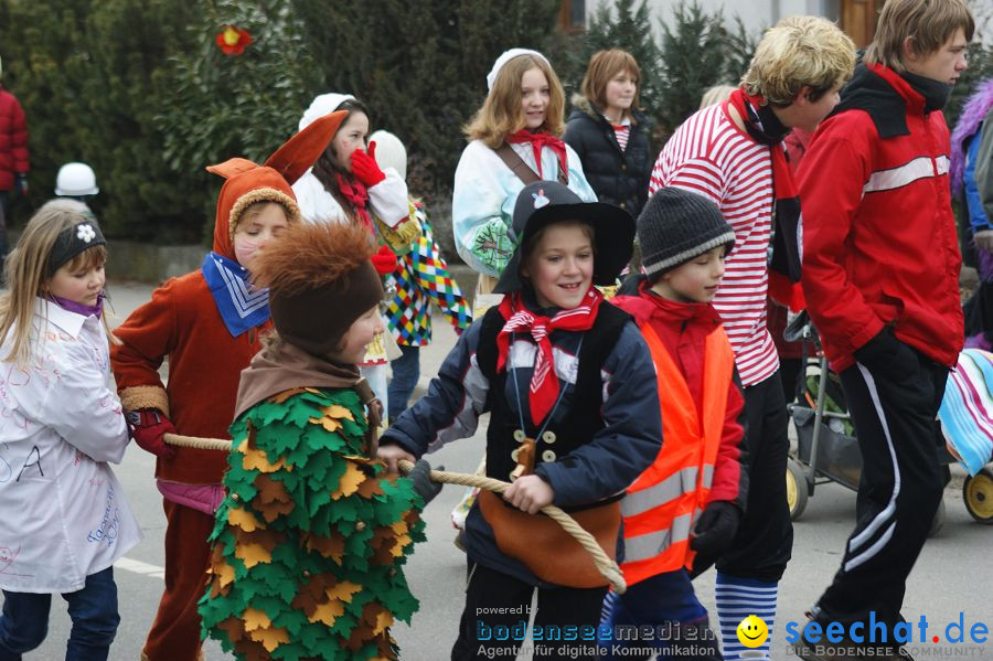 Narrenbaumstellen: Orsingen am Bodensee, 29.01.2011