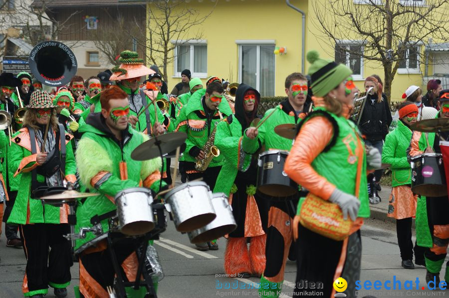 Narrenbaumstellen: Orsingen am Bodensee, 29.01.2011