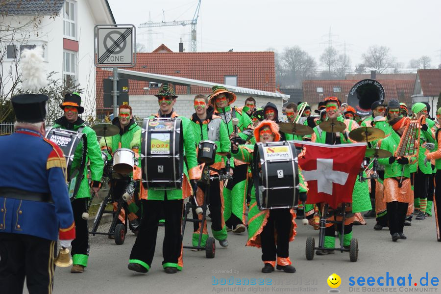 Narrenbaumstellen: Orsingen am Bodensee, 29.01.2011