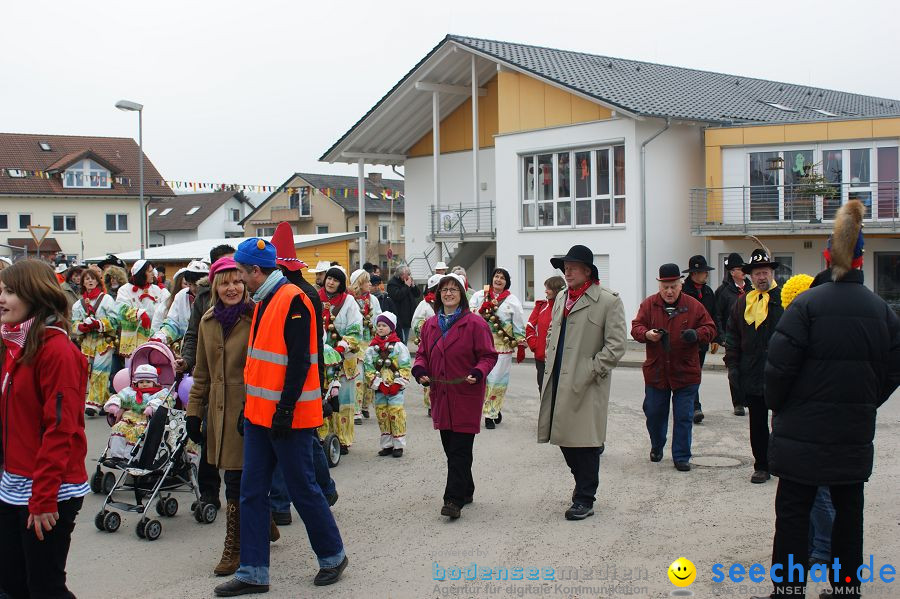 Narrenbaumstellen: Orsingen am Bodensee, 29.01.2011