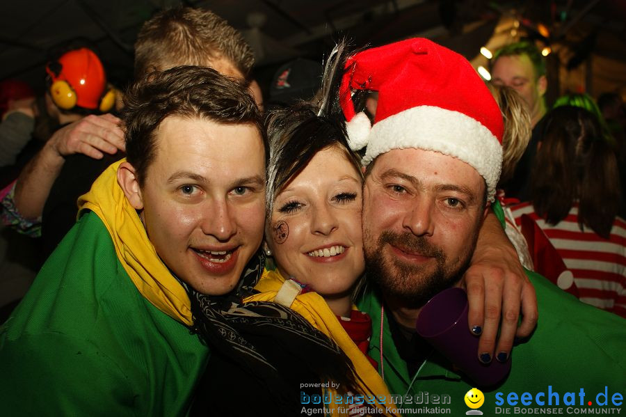 Narrentreffen - Festzelt: Orsingen am Bodensee, 29.01.2011