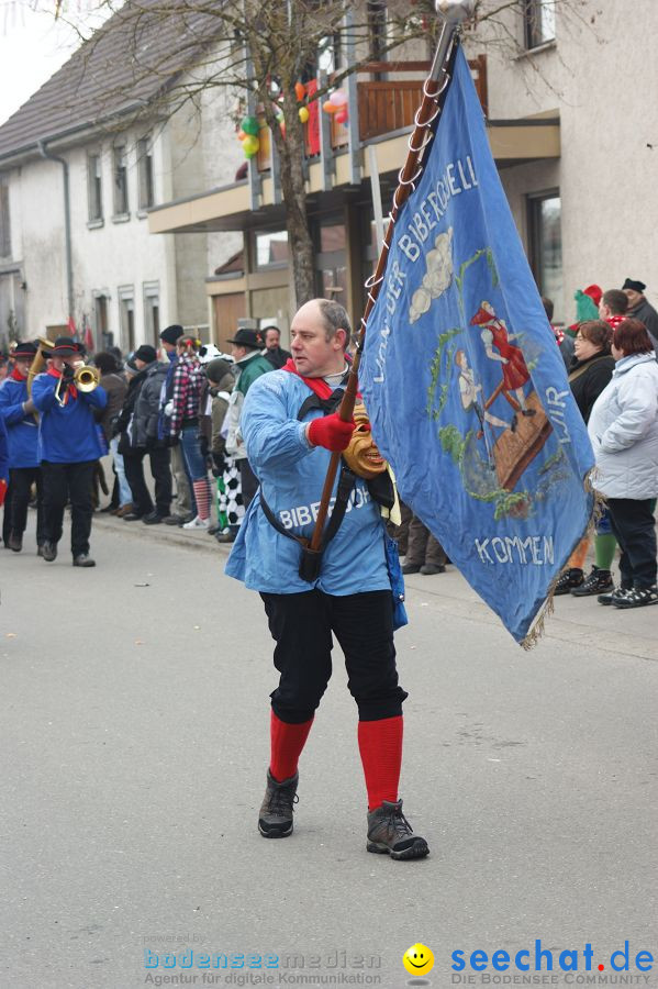 Narrenumzug: Orsingen am Bodensee, 30.01.2011