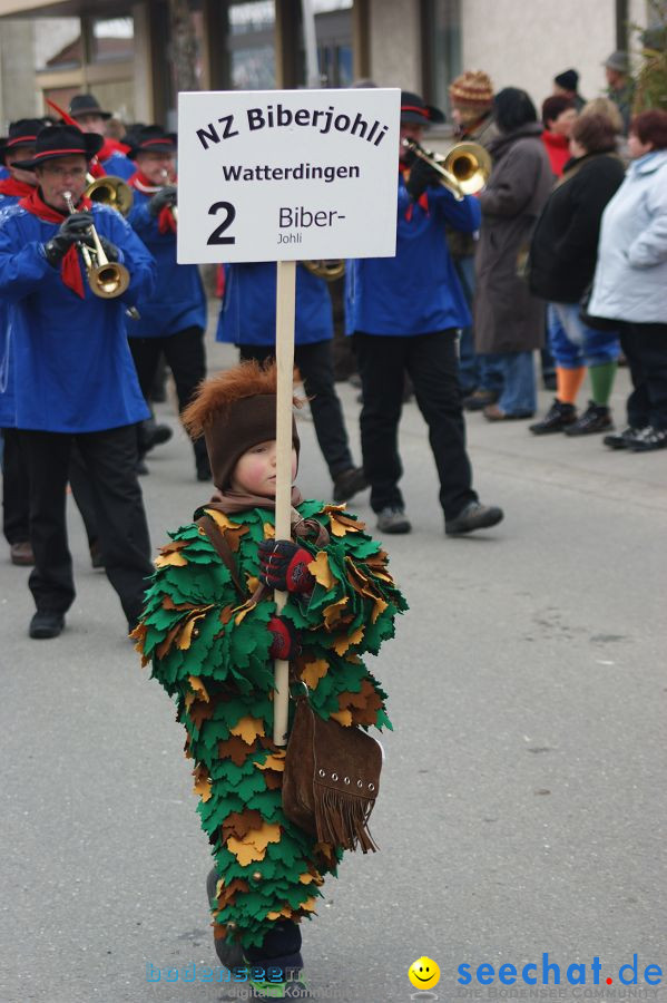Narrenumzug: Orsingen am Bodensee, 30.01.2011
