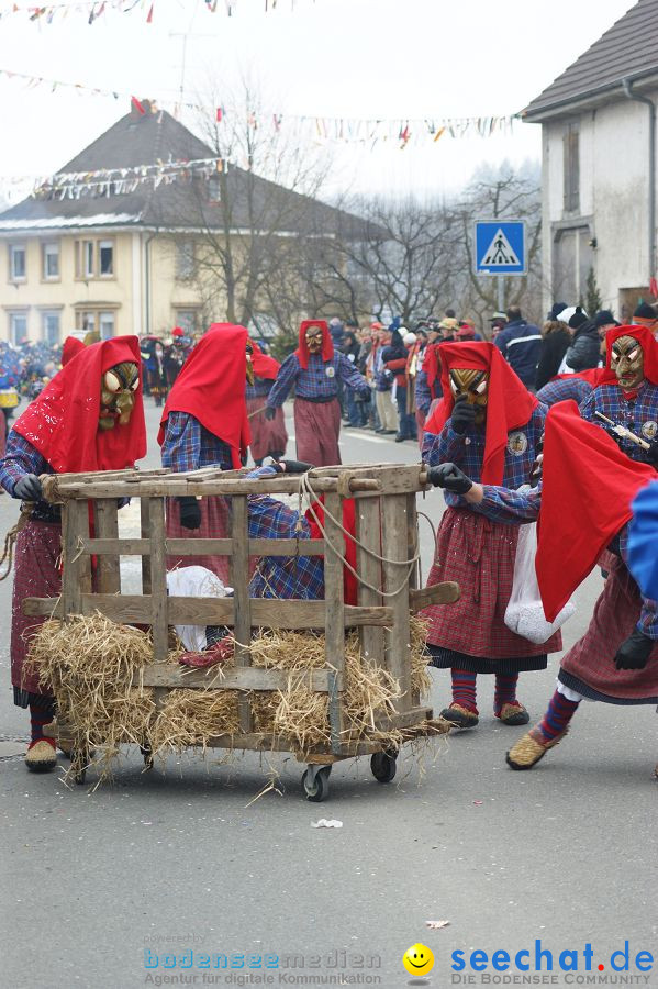 Narrenumzug: Orsingen am Bodensee, 30.01.2011