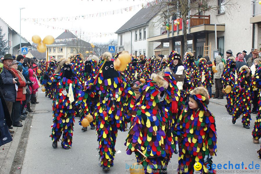 Narrenumzug: Orsingen am Bodensee, 30.01.2011