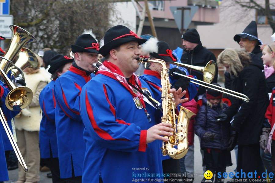 Narrenumzug: Orsingen am Bodensee, 30.01.2011
