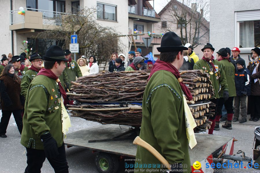 Narrenumzug: Orsingen am Bodensee, 30.01.2011