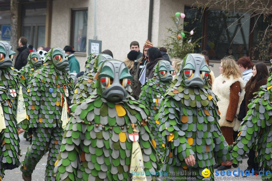 Narrenumzug: Orsingen am Bodensee, 30.01.2011