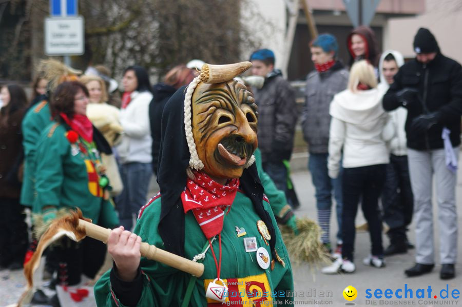 Narrenumzug: Orsingen am Bodensee, 30.01.2011