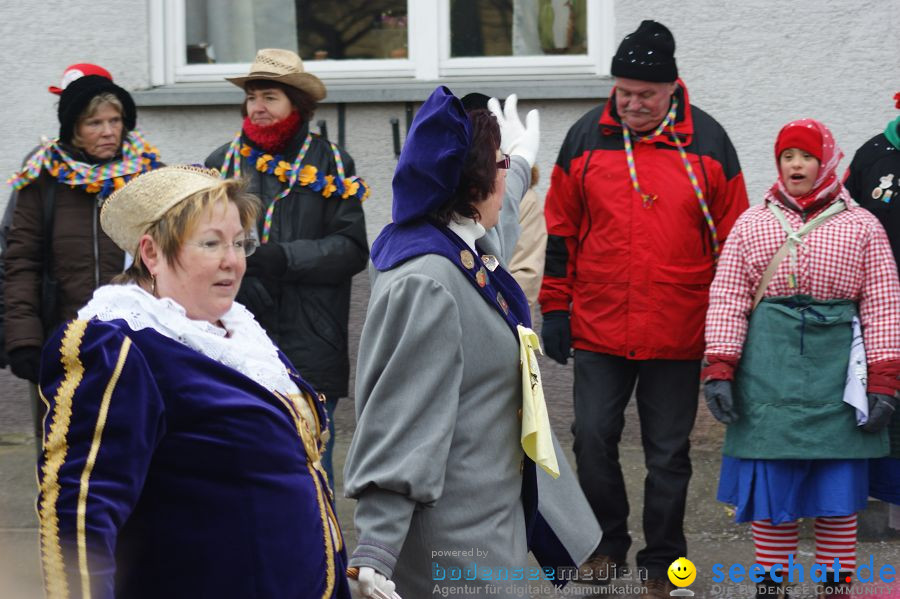 Narrenumzug: Orsingen am Bodensee, 30.01.2011