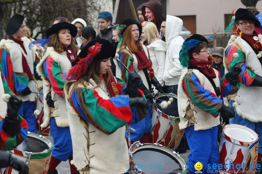 Narrenumzug: Orsingen am Bodensee, 30.01.2011