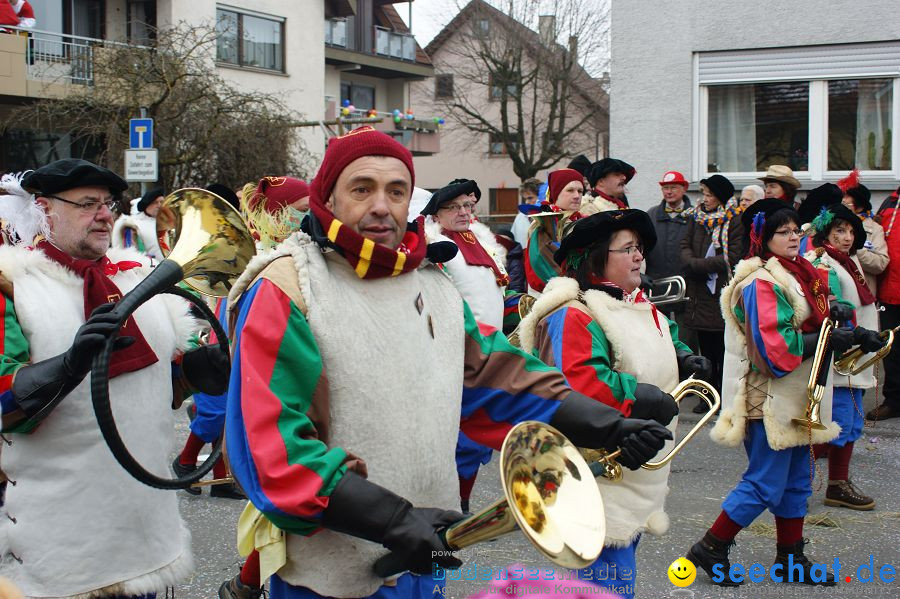 Narrenumzug: Orsingen am Bodensee, 30.01.2011