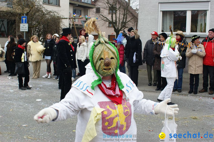 Narrenumzug: Orsingen am Bodensee, 30.01.2011