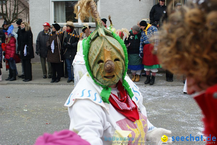 Narrenumzug: Orsingen am Bodensee, 30.01.2011