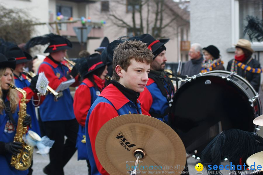 Narrenumzug: Orsingen am Bodensee, 30.01.2011