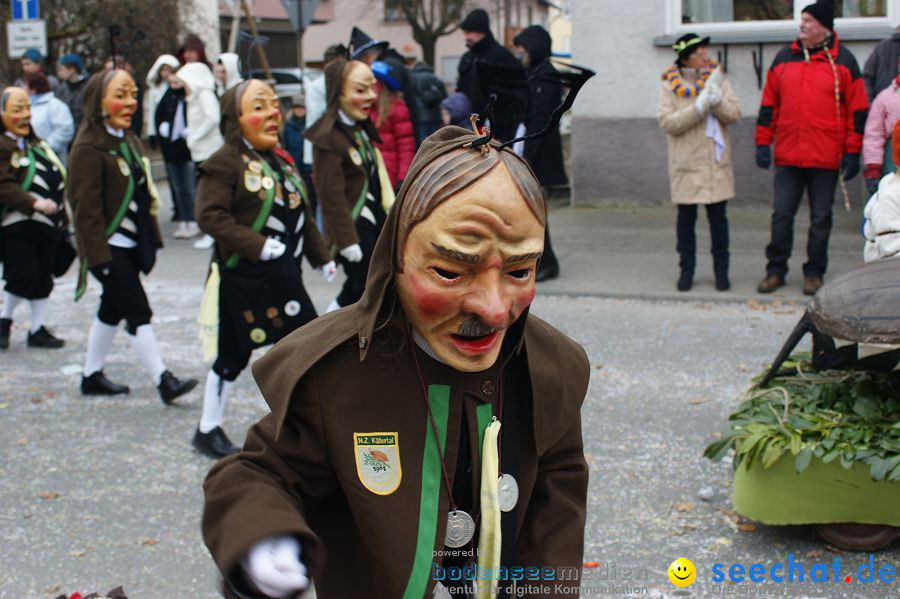 Narrenumzug: Orsingen am Bodensee, 30.01.2011