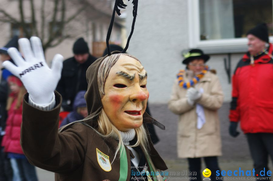 Narrenumzug: Orsingen am Bodensee, 30.01.2011