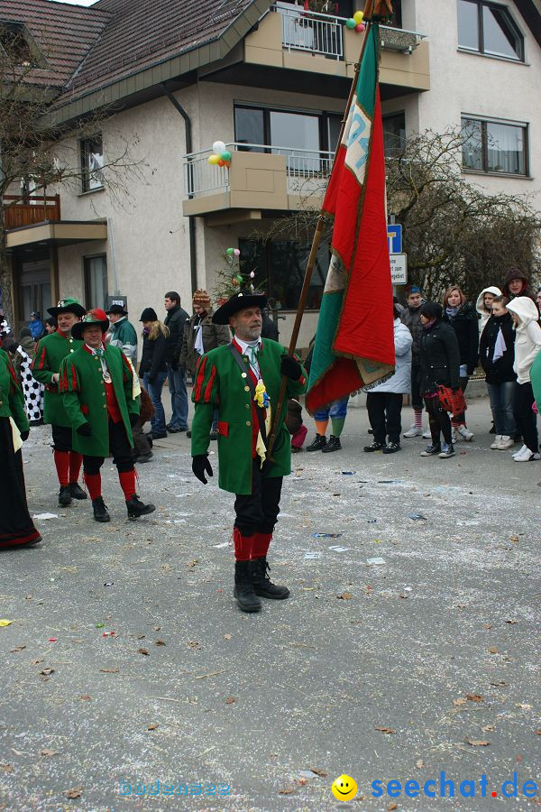 Narrenumzug: Orsingen am Bodensee, 30.01.2011