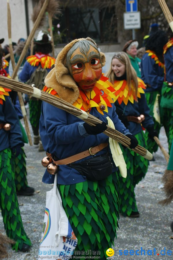 Narrenumzug: Orsingen am Bodensee, 30.01.2011